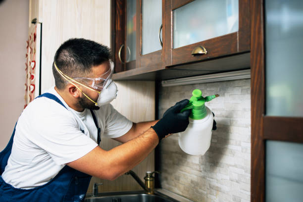 Donna, TX Pest Control Company