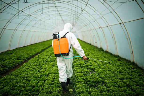 Best Pest Control Near Me  in Donna, TX