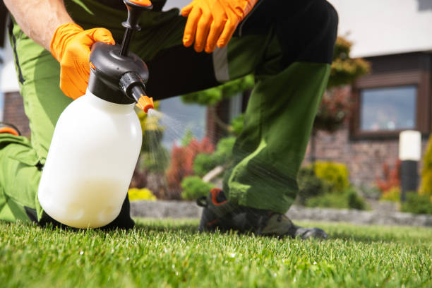 Pest Prevention Services in Donna, TX