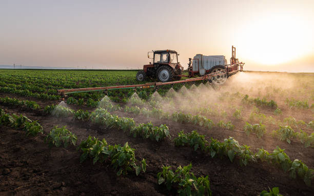 Best Insect Control  in Donna, TX