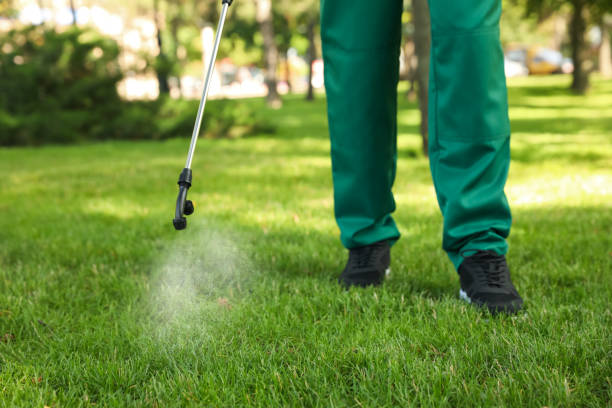 Best Exterminator Services  in Donna, TX