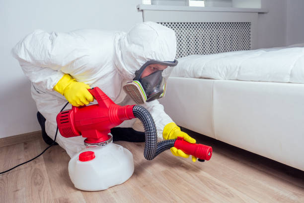 Best Pest Removal Services  in Donna, TX