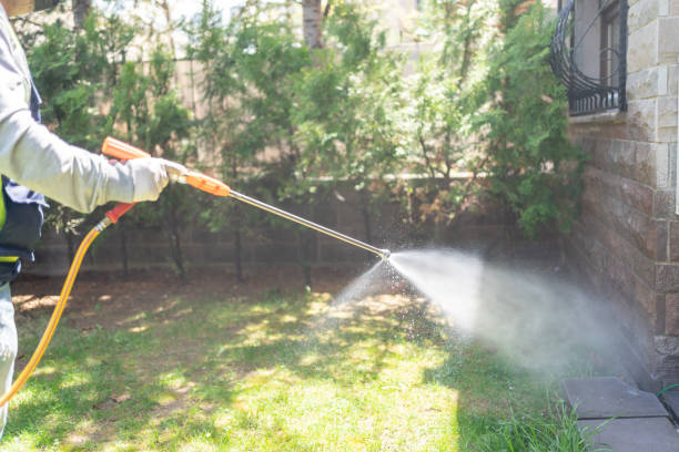Best Wildlife Control Services  in Donna, TX